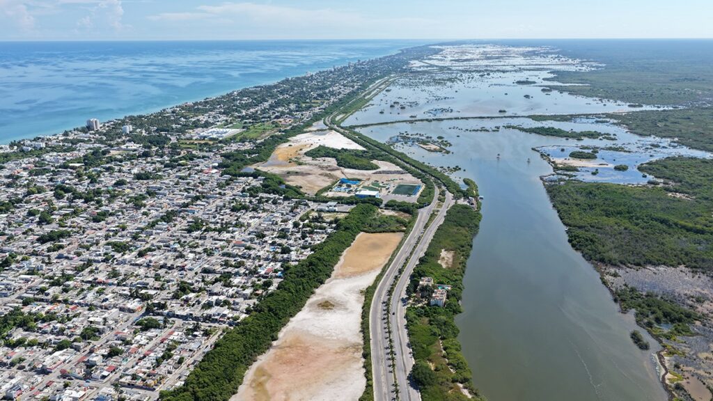 Progreso limpia la ciénega, pero la basura sigue regresando